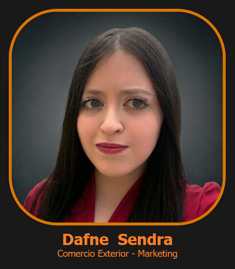 Responsable de Marketing y Soporte, impulsando el crecimiento y fidelización mediante la mejora continua basada en el feedback del cliente.